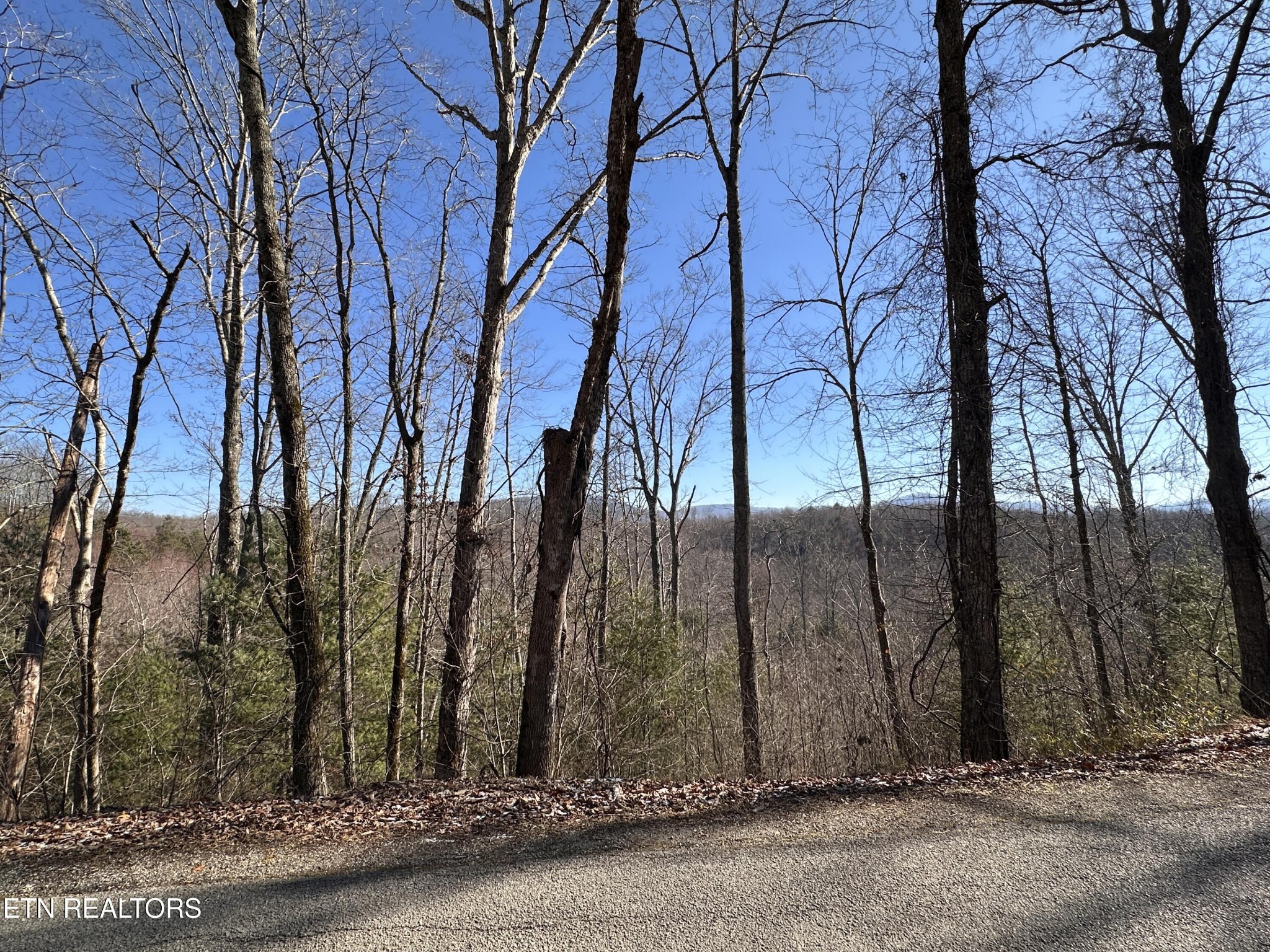 16245 Mill Creek Road Sunbright, TN 37872 - Photo 4 of 37