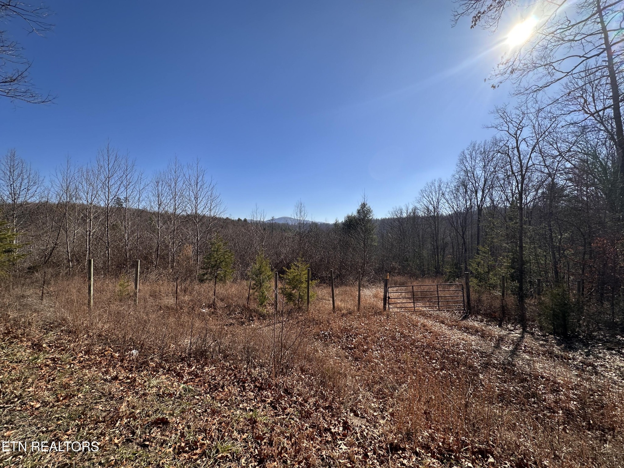 16245 Mill Creek Road Sunbright, TN 37872 - Photo 9 of 37