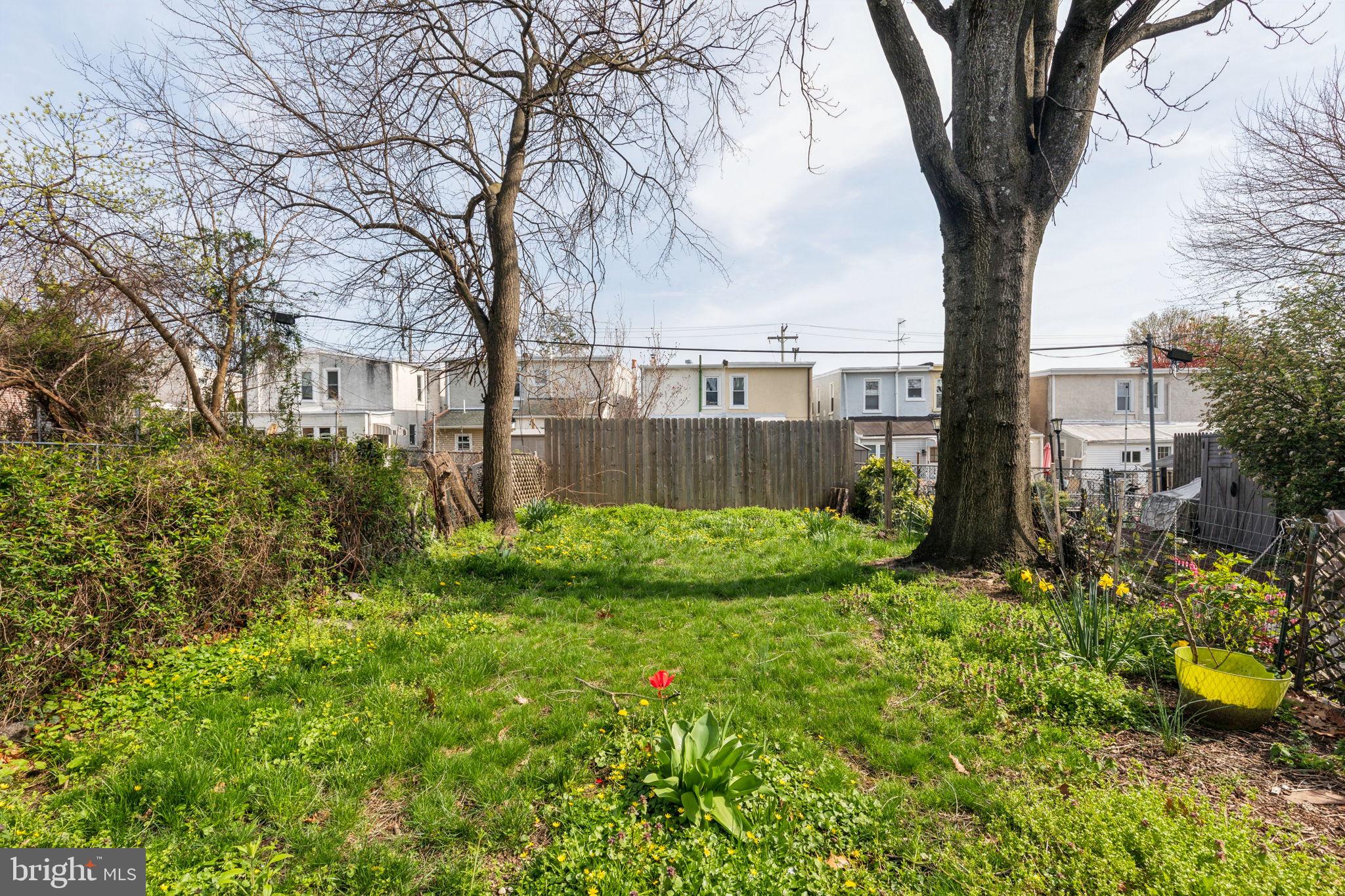 335 Rector Street Philadelphia, PA 19128 - Photo 14 of 29 Backyard