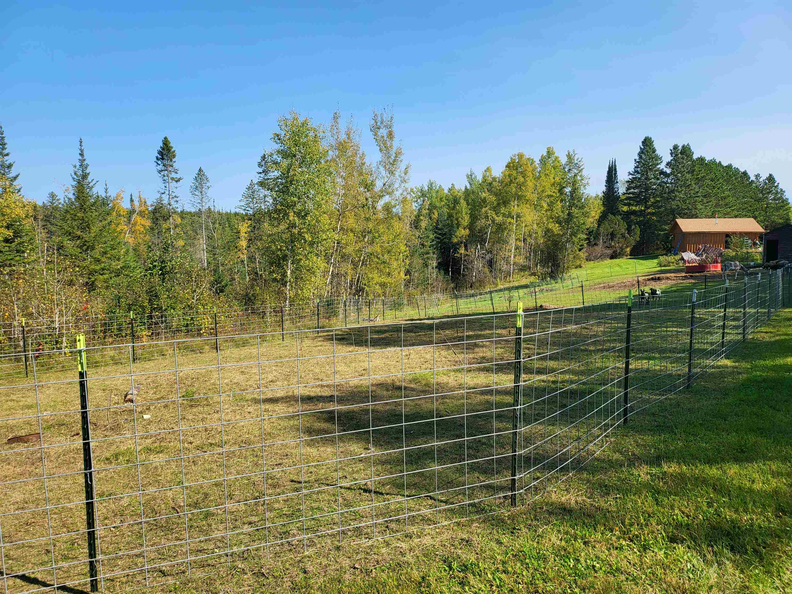6821 Barrett Road Chisholm, MN 55719 - Photo 20 of 34 View of yard featuring a view of countryside and an outdoor structure