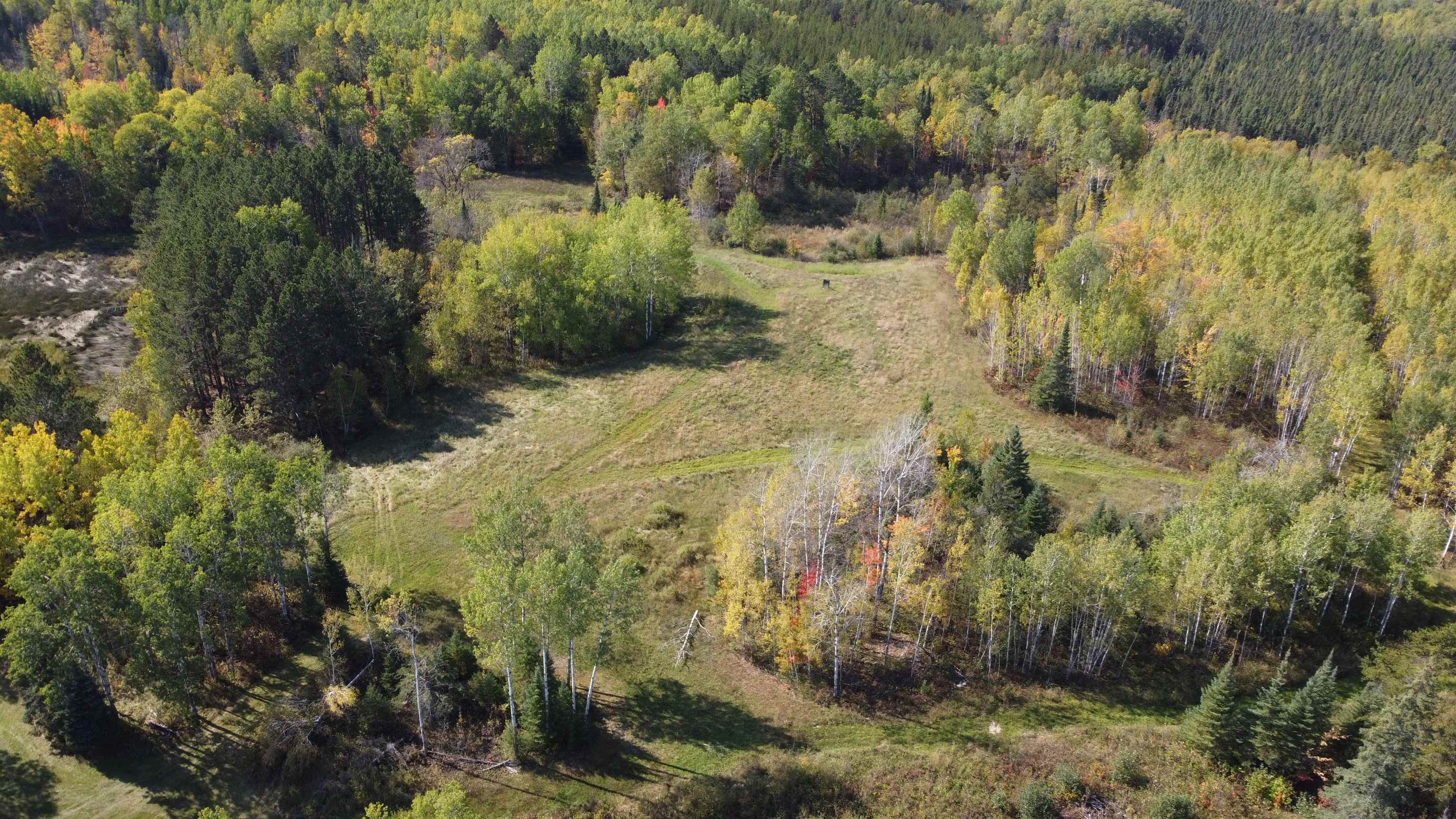 6821 Barrett Road Chisholm, MN 55719 - Photo 25 of 34 Aerial view of property and surrounding area with a forest