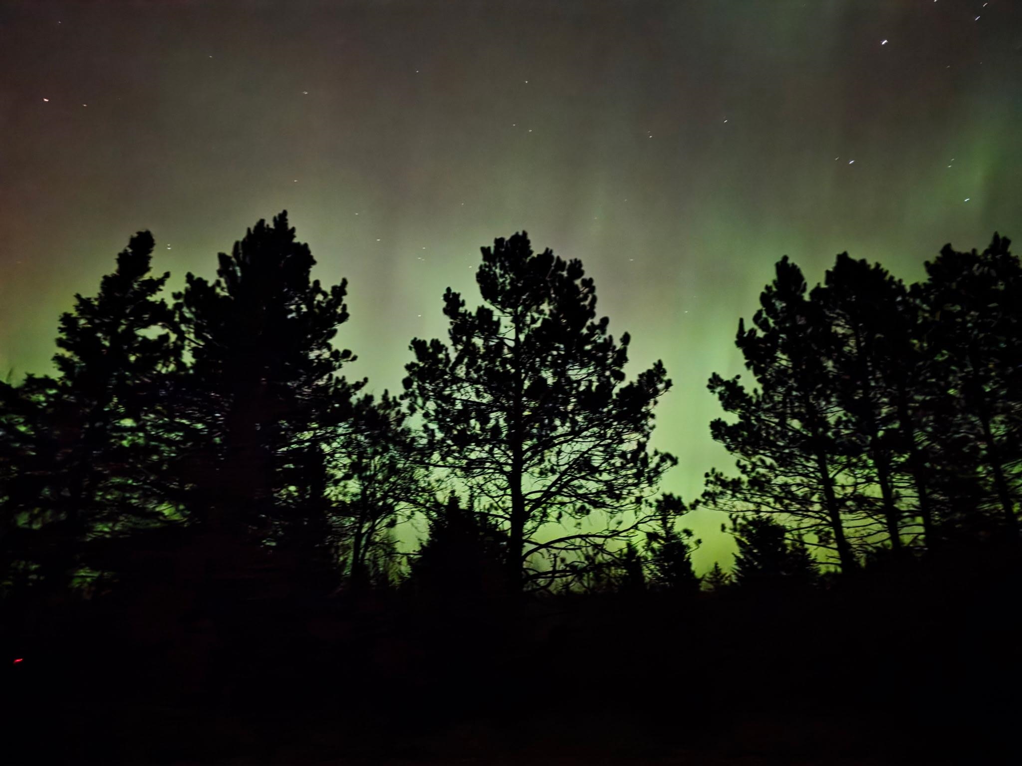 6821 Barrett Road Chisholm, MN 55719 - Photo 32 of 34 View of undeveloped land