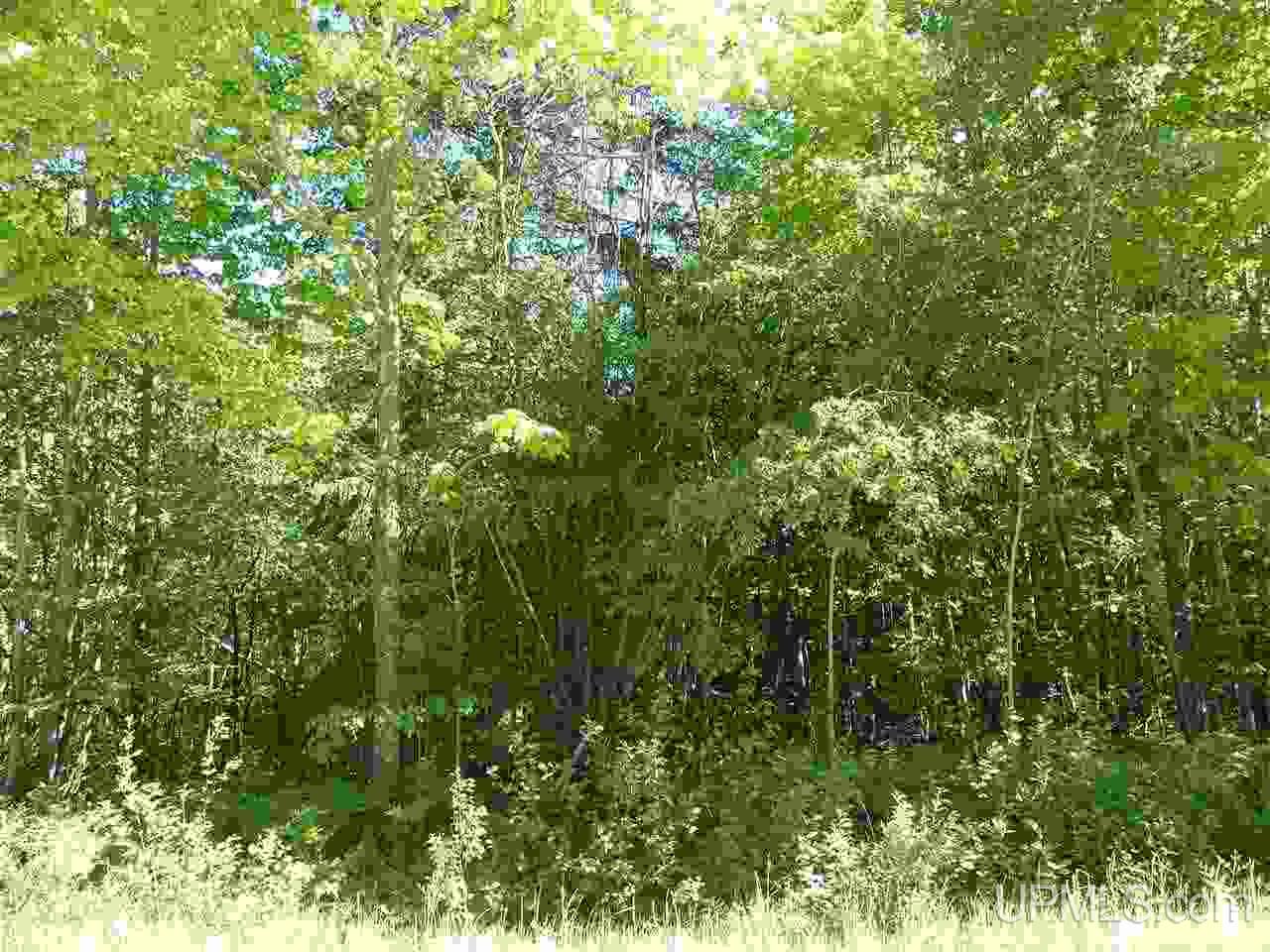 No # East No Road Grand Marais, MI 49839 - Photo 12 of 12