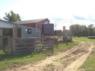 6830 Chambers Road Millington, MI 48746 - Photo 14 of 25 path looking towards back