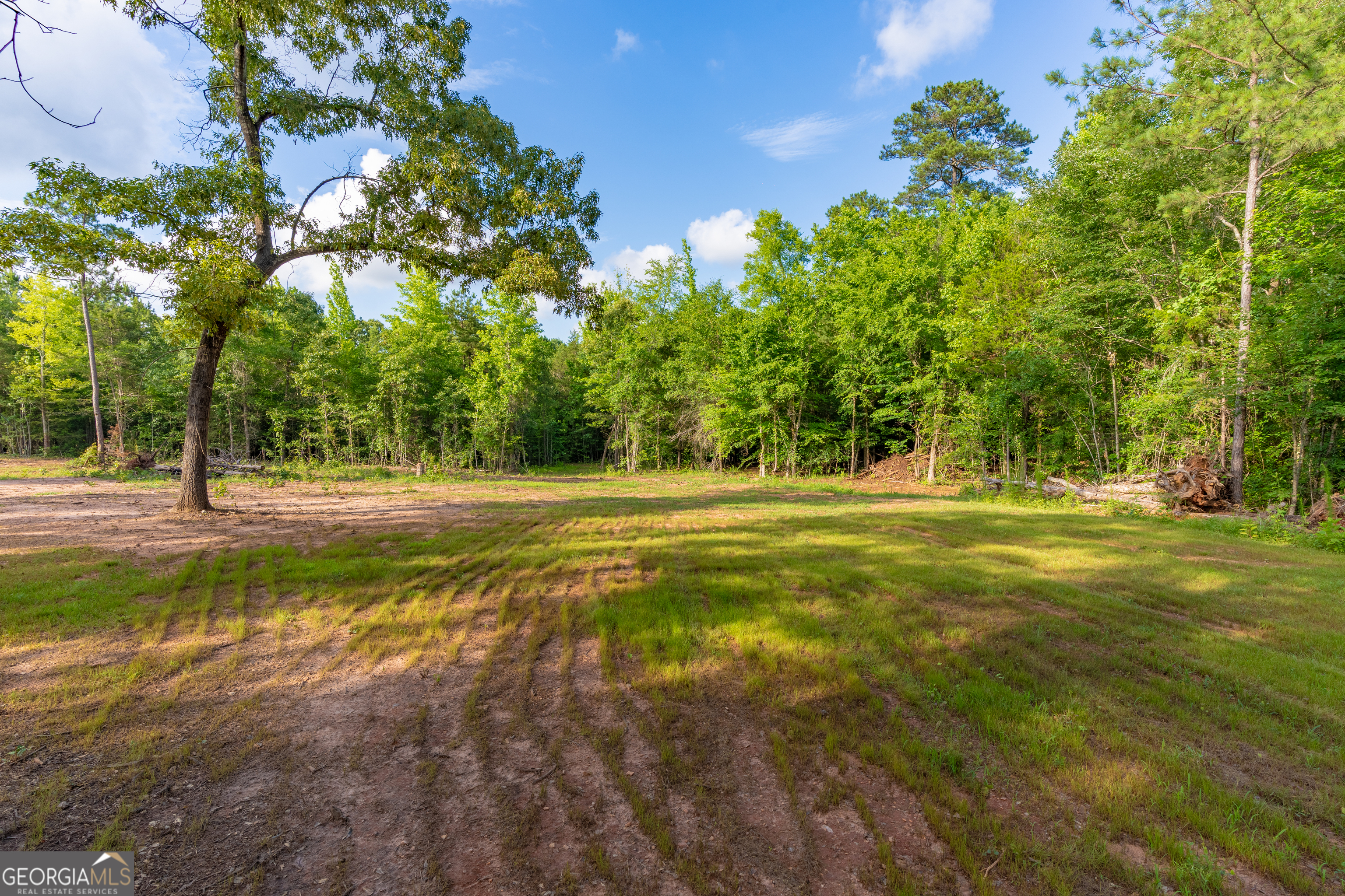 54 Davis Carter Road Monticello, GA 31064 - Photo 22 of 60