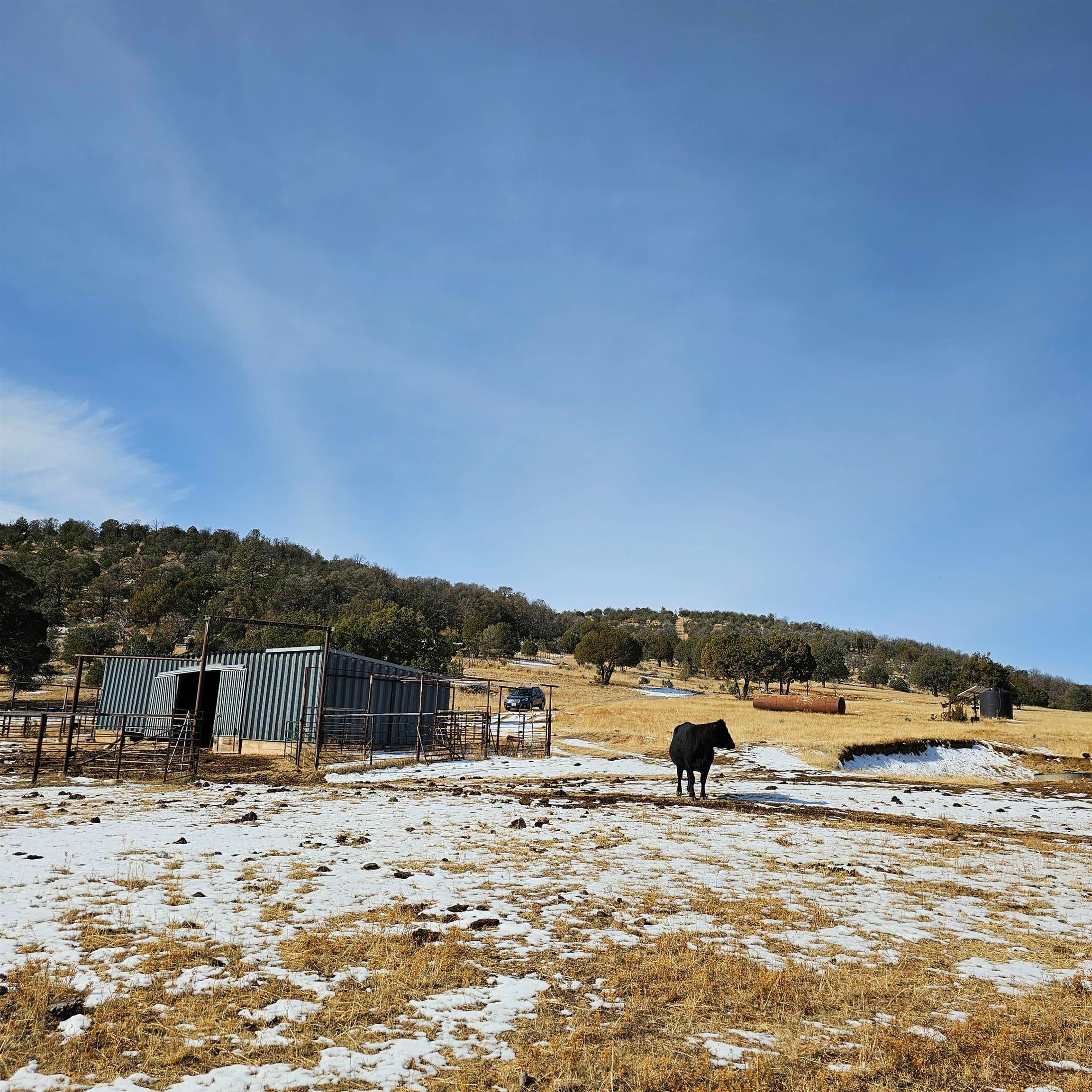 0 Miller Flats Road Mayhill, NM 88339 - Photo 15 of 39 Gallery Image 15