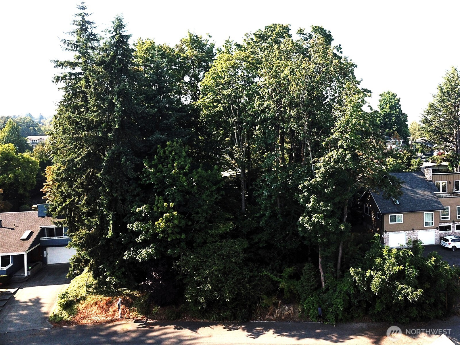 1403 North 38th Street Renton, WA 98056 - Photo 5 of 7 a backyard of a house with lots of green space