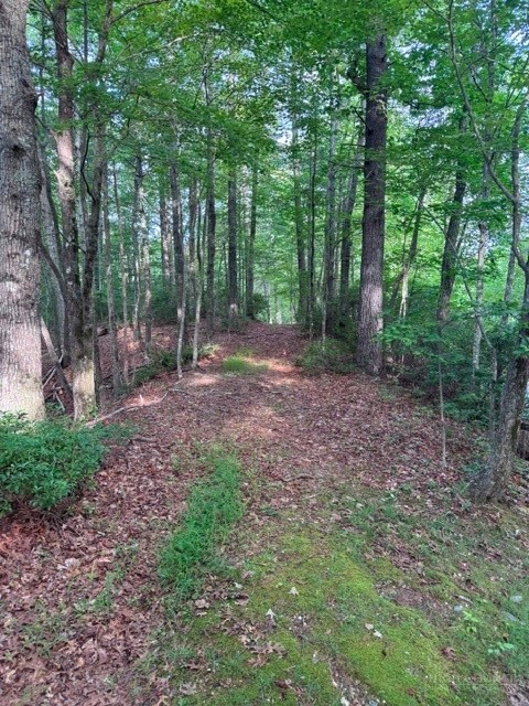 190 Wagon Ridge Lane Ferguson, NC 28624 - Photo 15 of 43 Gallery Image 15