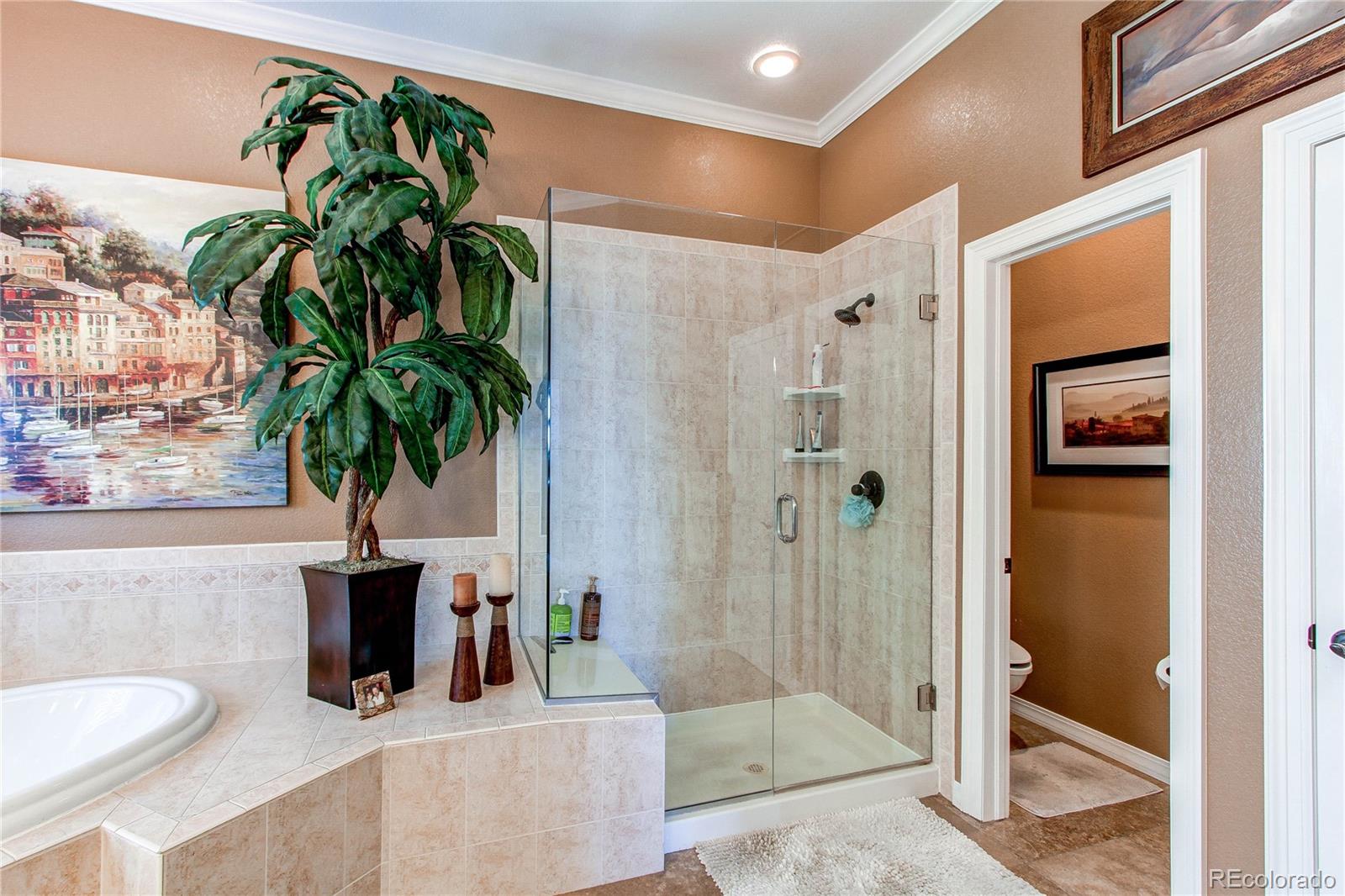 21931 East Ridge Trail Circle Aurora, CO 80016 - Photo 20 of 50