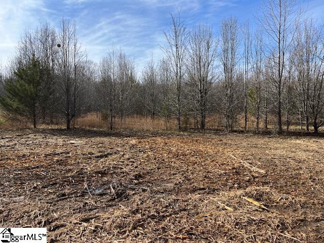 0 Settle Road, Unit LOT C Inman, SC 29349 - Photo 1 of 2
