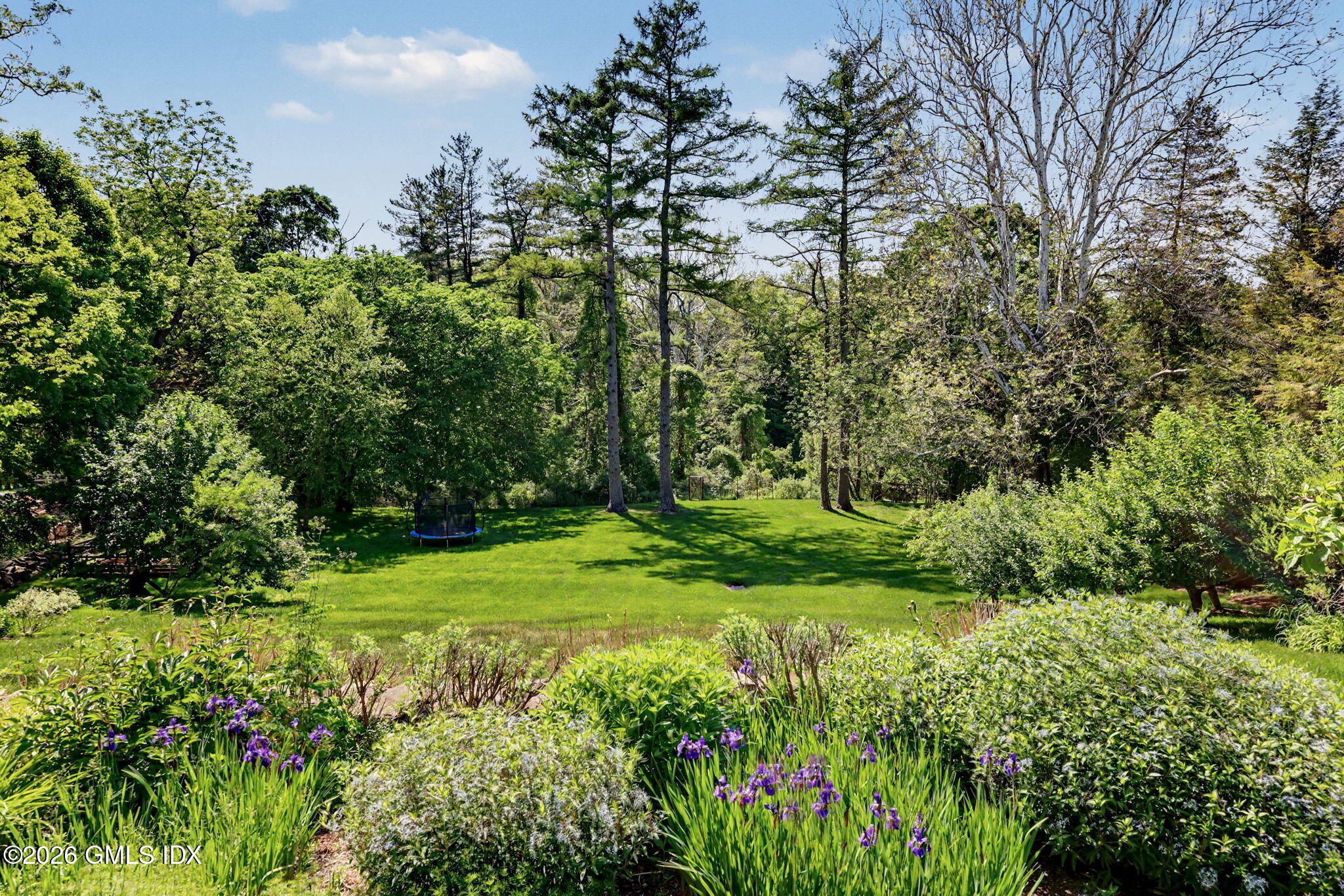 208 Bedford Road Greenwich, CT 06831 - Photo 22 of 26 208 Bedford Backyard