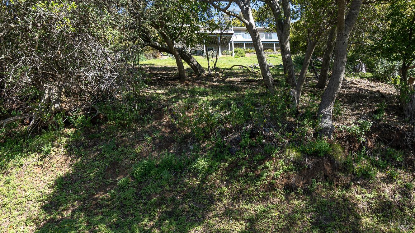 0 South Belvedere Avenue Belvedere, CA 94920 - Photo 13 of 25