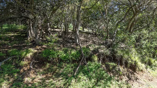 $2,500,000 | 0 South Belvedere Avenue, Belvedere, CA 94920