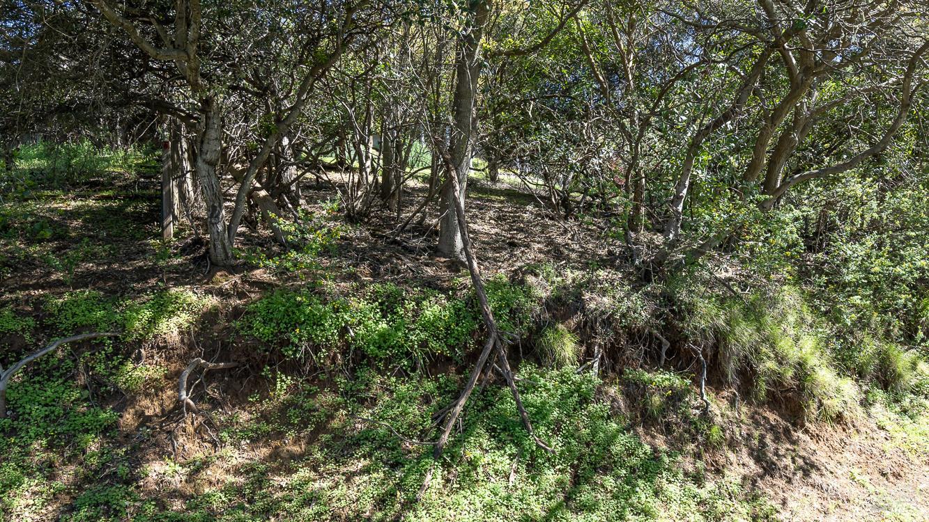 0 South Belvedere Avenue Belvedere, CA 94920 - Photo 15 of 25