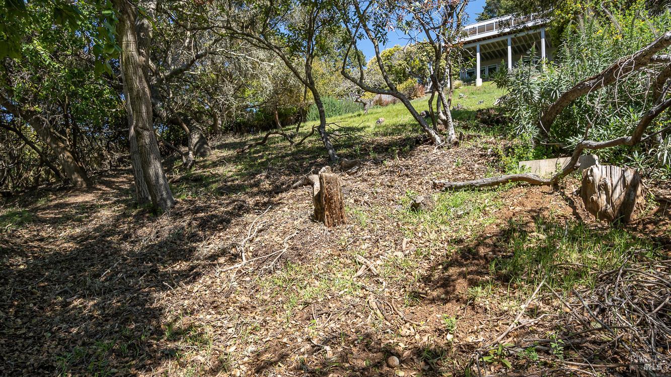 0 South Belvedere Avenue Belvedere, CA 94920 - Photo 20 of 25