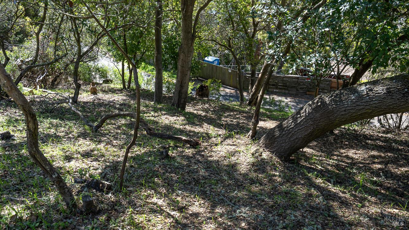 0 South Belvedere Avenue Belvedere, CA 94920 - Photo 22 of 25