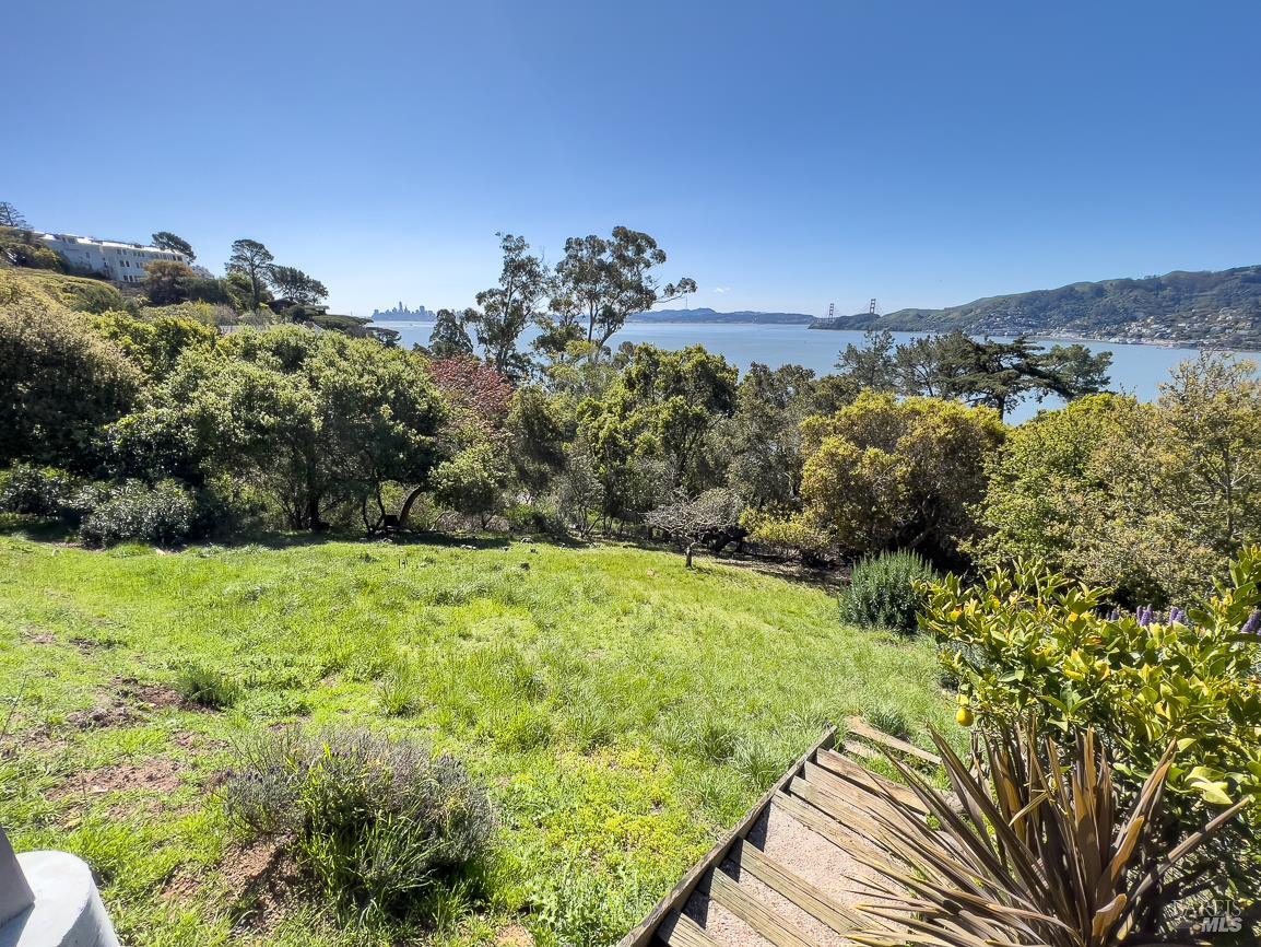 0 South Belvedere Avenue Belvedere, CA 94920 - Photo 4 of 25