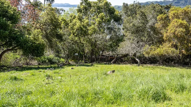 $2,500,000 | 0 South Belvedere Avenue, Belvedere, CA 94920