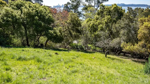 $2,500,000 | 0 South Belvedere Avenue, Belvedere, CA 94920
