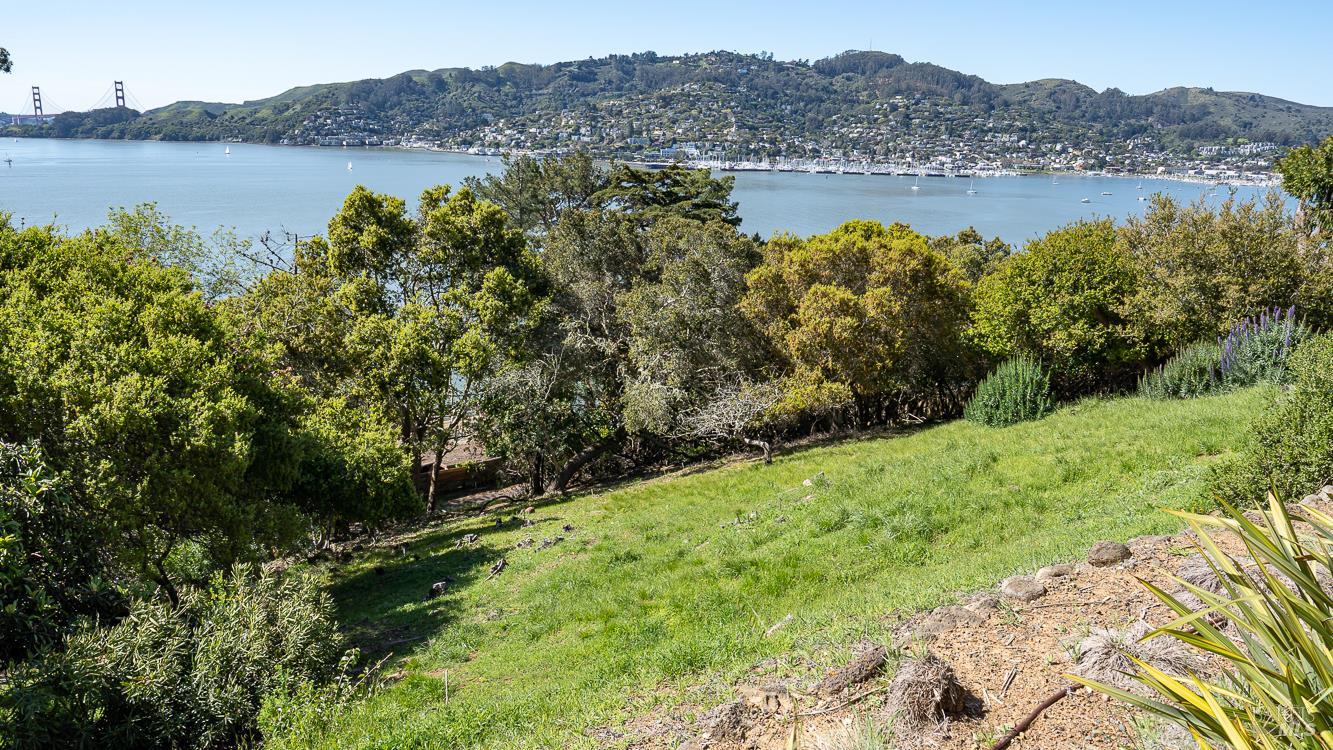 0 South Belvedere Avenue Belvedere, CA 94920 - Photo 9 of 25