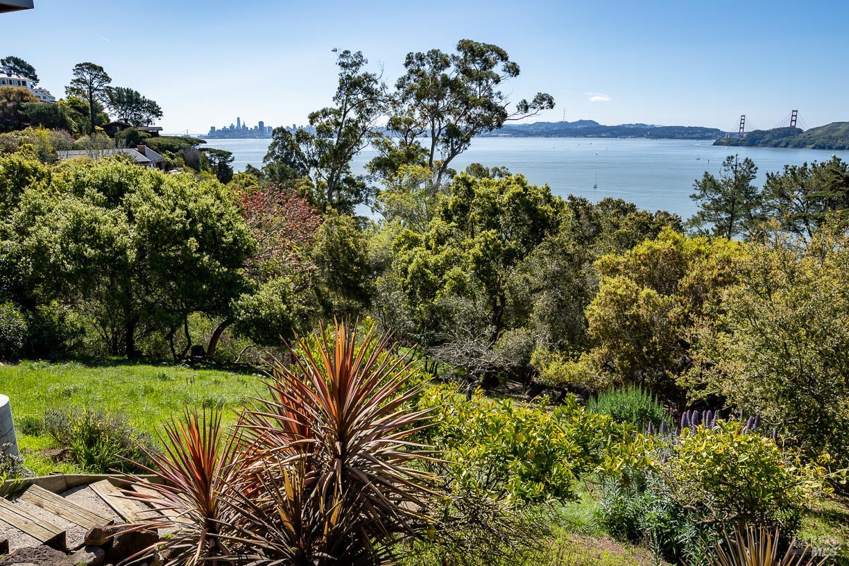 0 South Belvedere Avenue Belvedere, CA 94920 - Photo 10 of 25