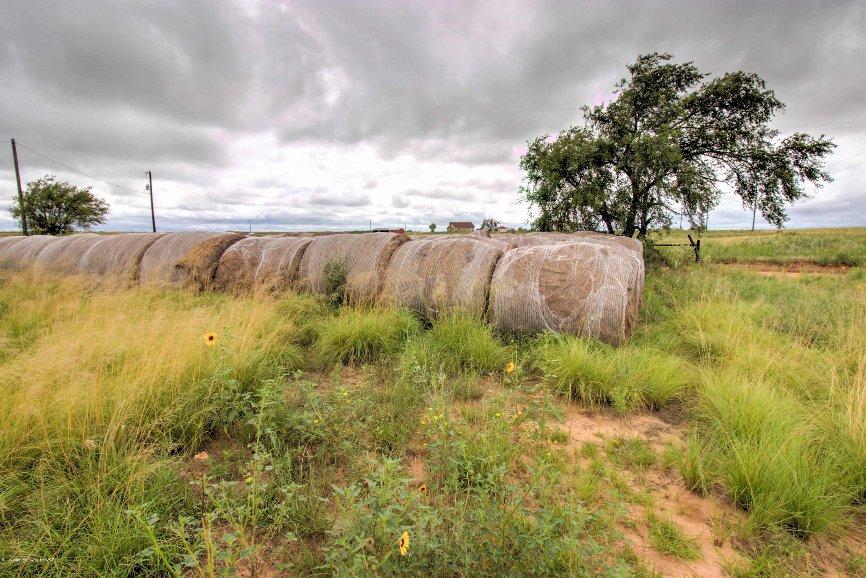 Triple T Ranch Wheeler, TX 79096 - Photo 18 of 25 018