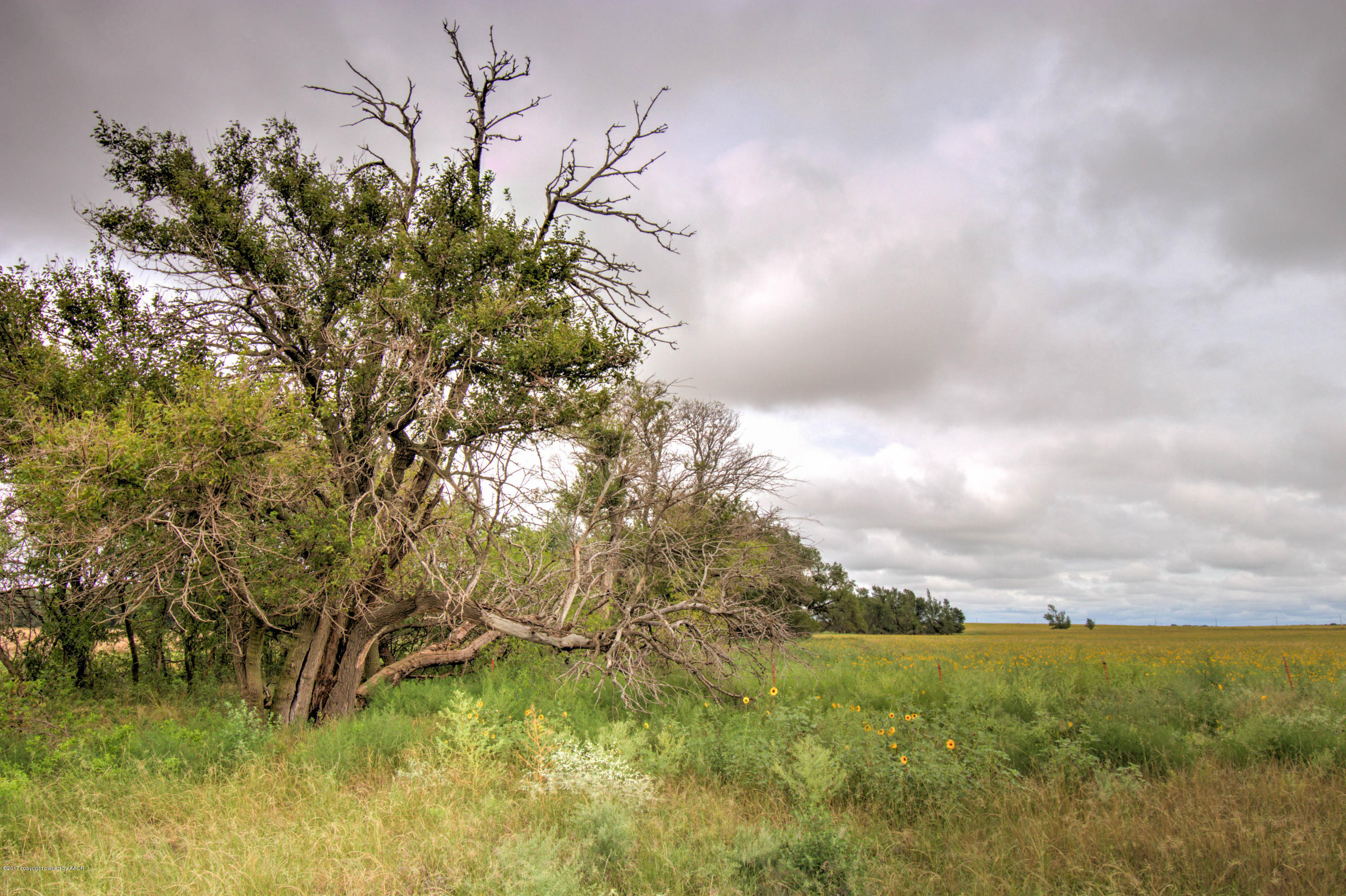 Triple T Ranch Wheeler, TX 79096 - Photo 20 of 25 020