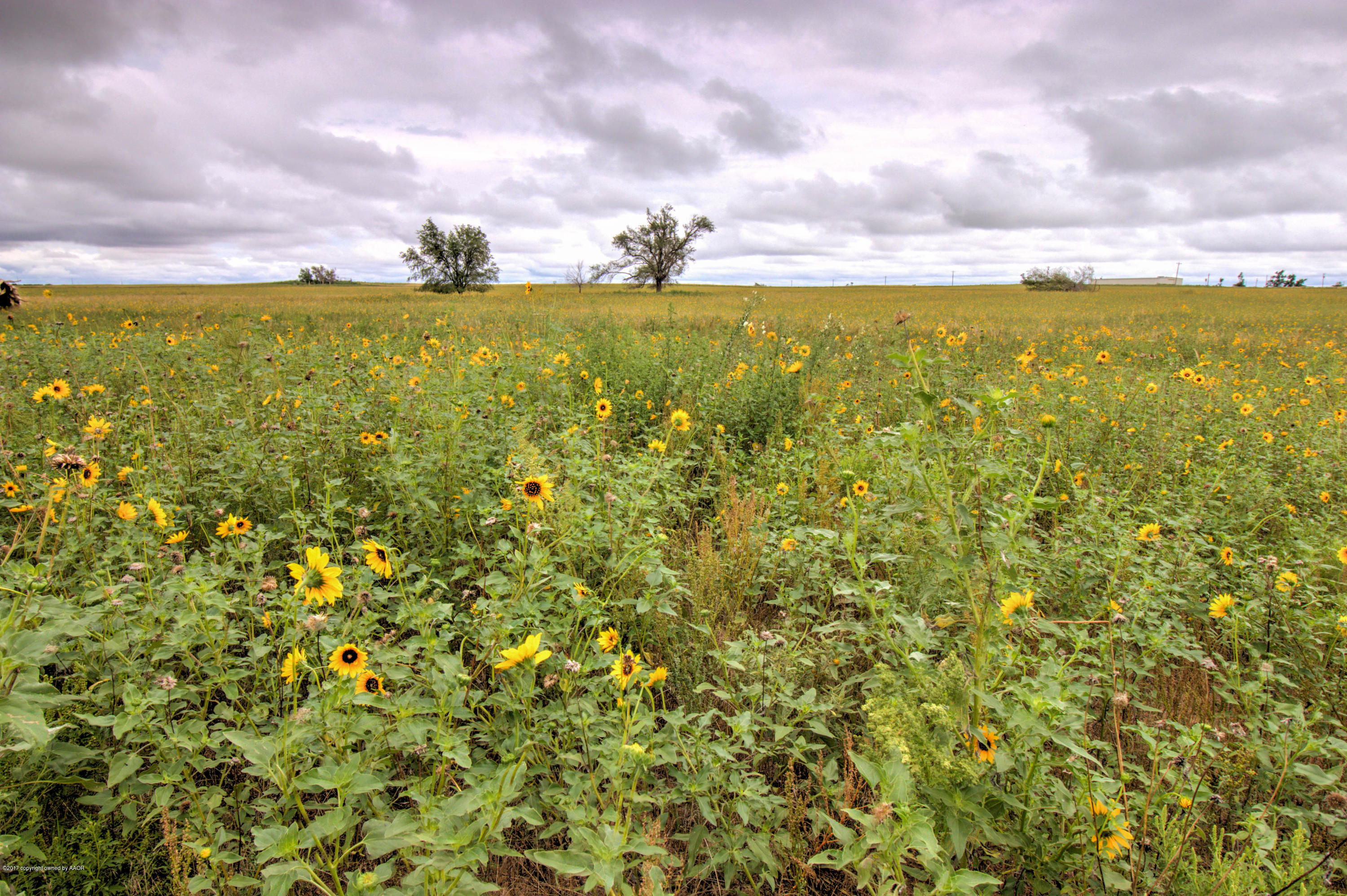 Triple T Ranch Wheeler, TX 79096 - Photo 2 of 25 005