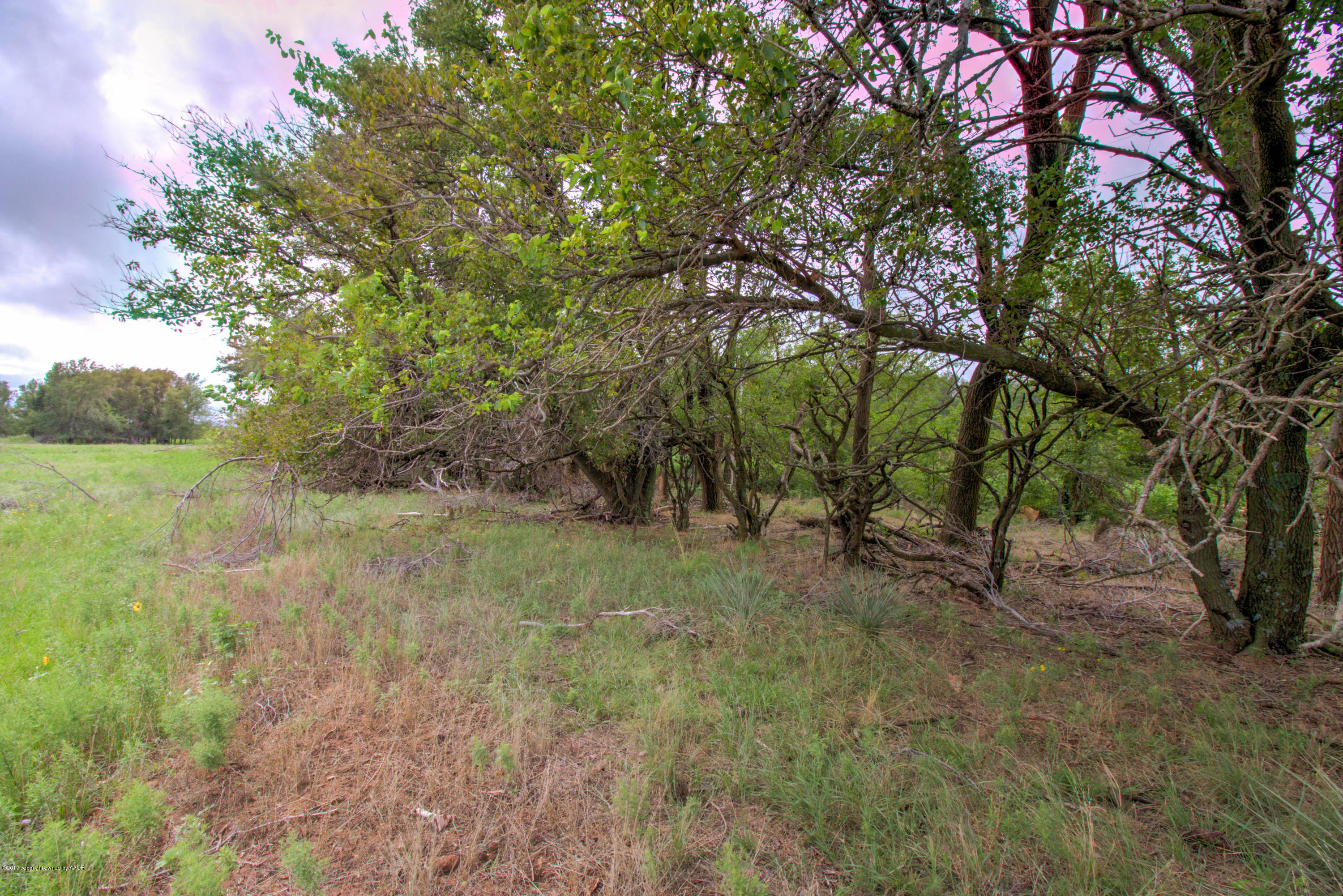 Triple T Ranch Wheeler, TX 79096 - Photo 21 of 25 023