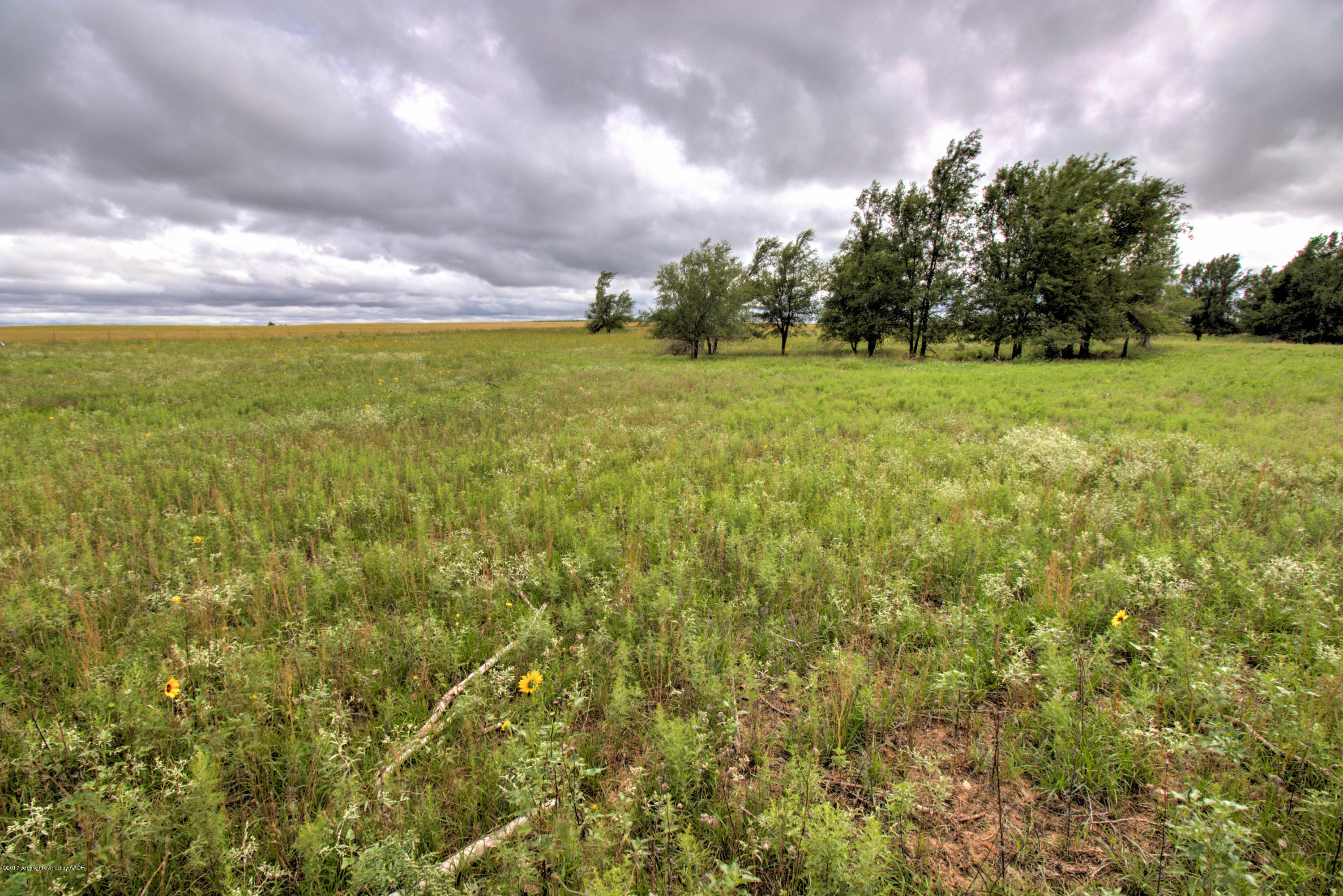 Triple T Ranch Wheeler, TX 79096 - Photo 23 of 25 025