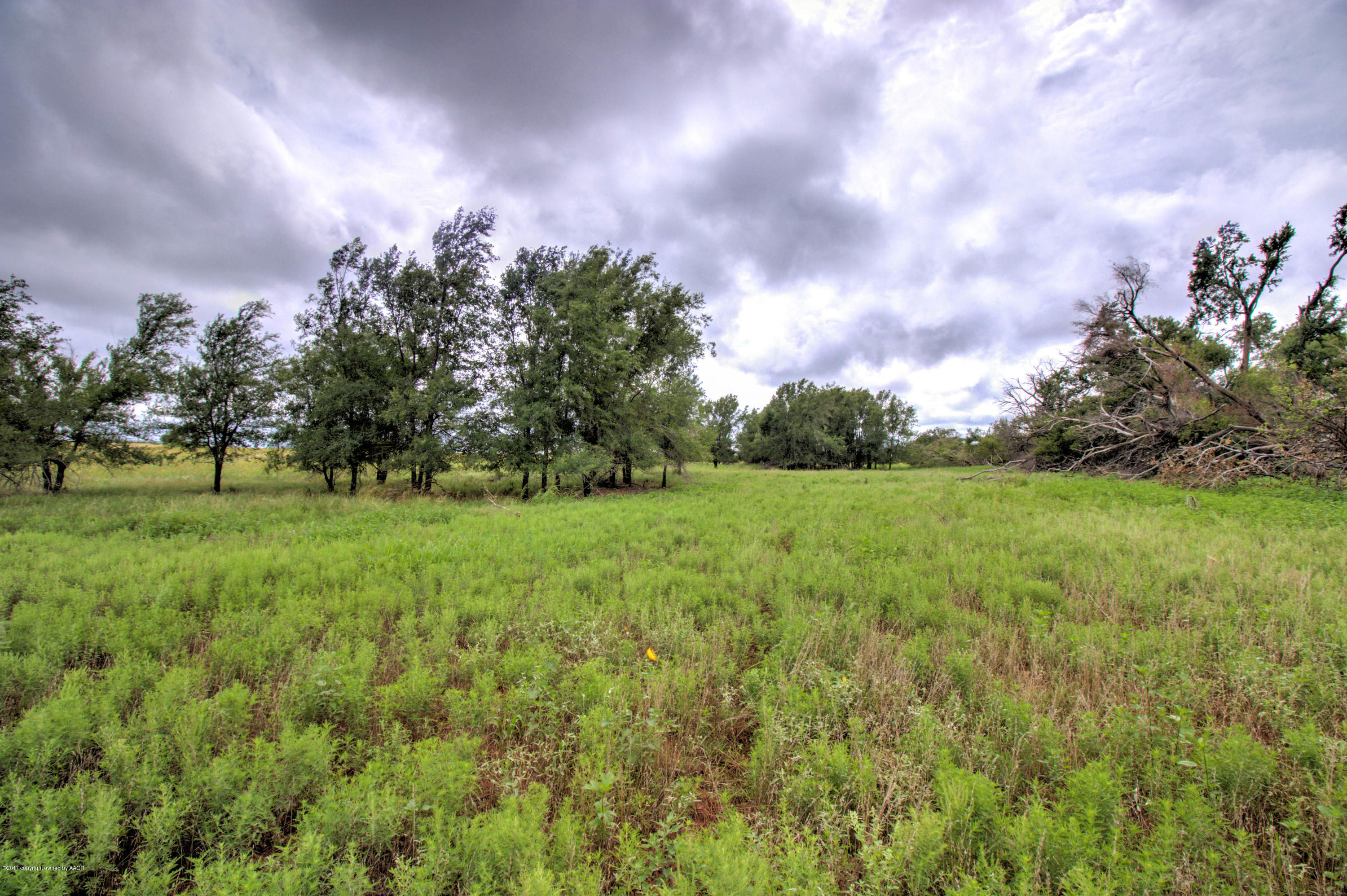 Triple T Ranch Wheeler, TX 79096 - Photo 24 of 25 028