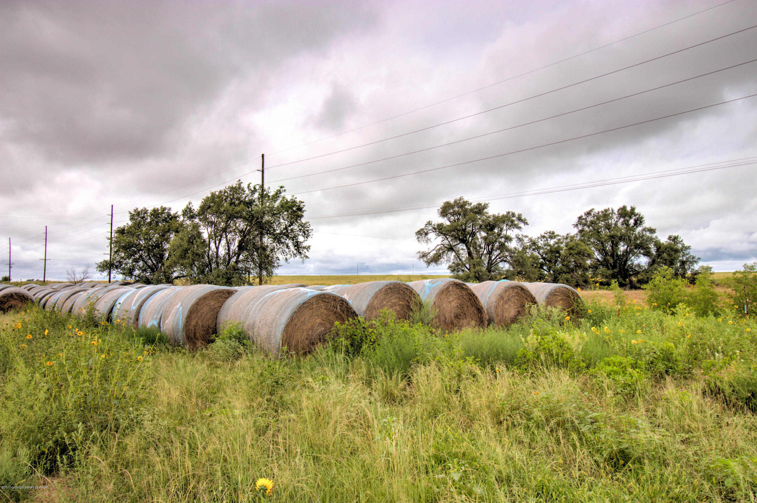 Triple T Ranch Wheeler, TX 79096 - Photo 4 of 25 021