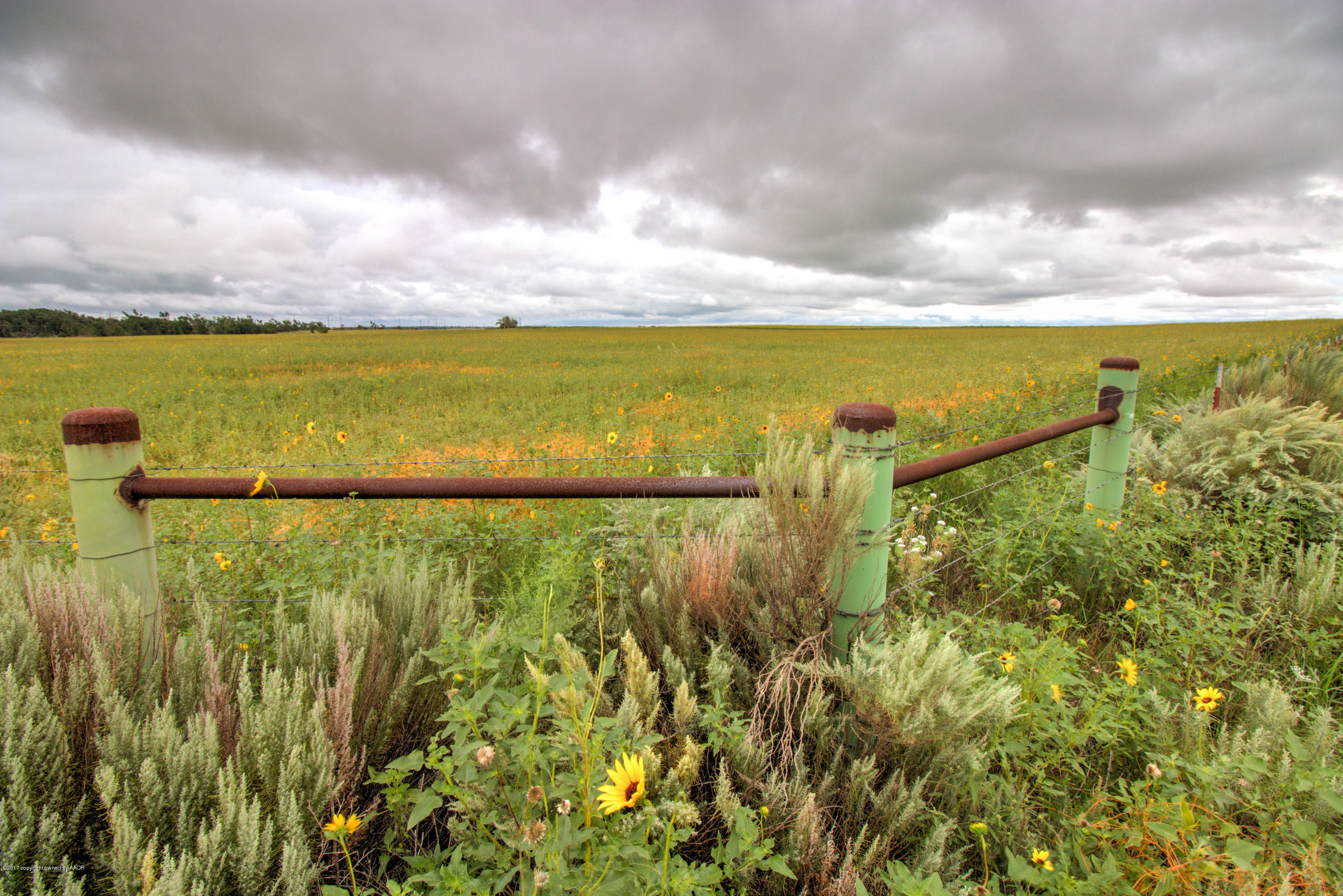 Triple T Ranch Wheeler, TX 79096 - Photo 7 of 25 001