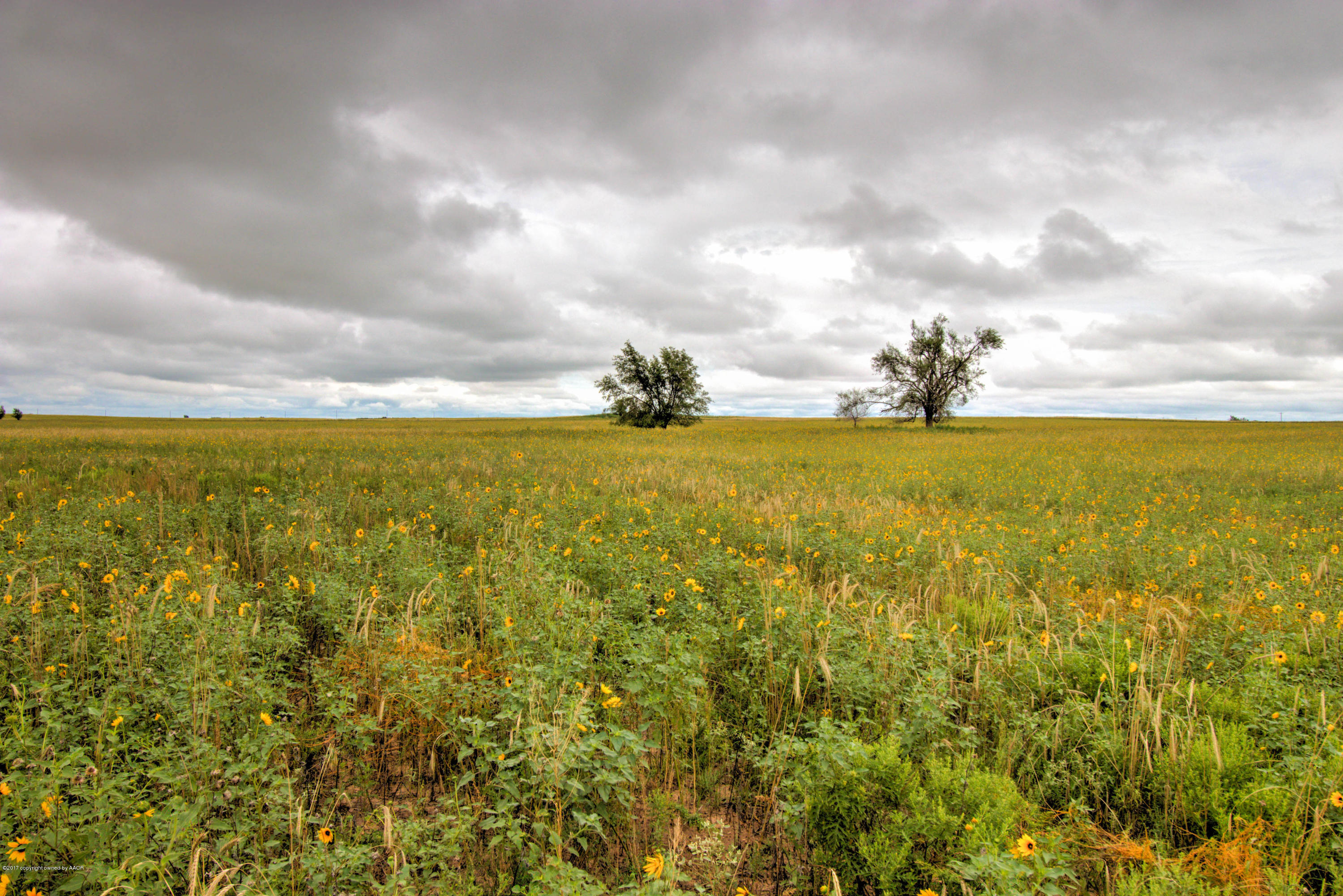 Triple T Ranch Wheeler, TX 79096 - Photo 9 of 25 003