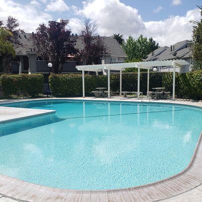 343 Shadow Run Drive San Jose, CA 95110 - Photo 11 of 17 a view of a swimming pool with a yard