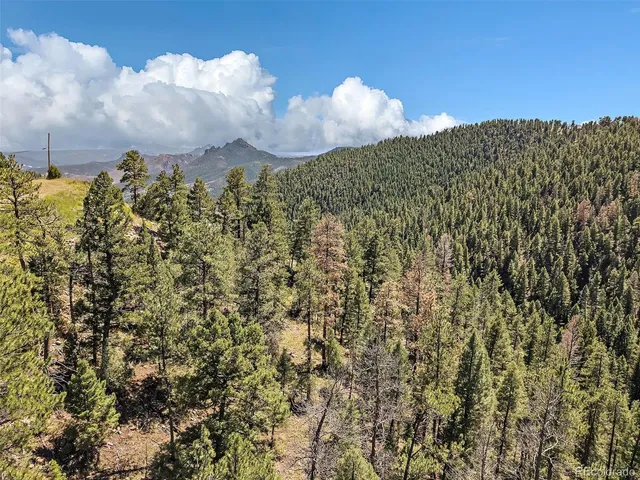 $225,000 | 13809 Elsie Road, Conifer, CO 80433