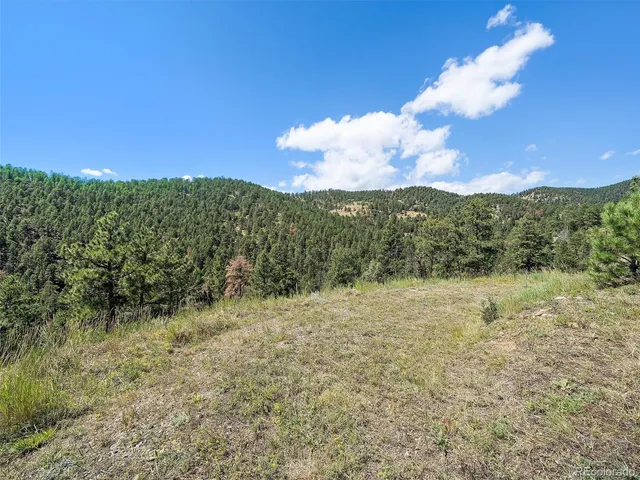 $225,000 | 13809 Elsie Road, Conifer, CO 80433