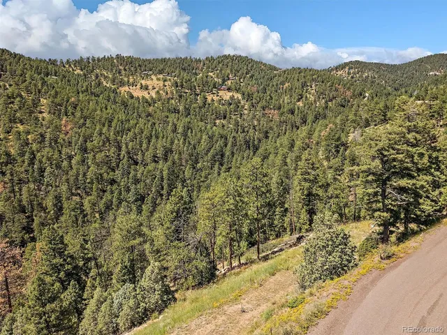 $225,000 | 13809 Elsie Road, Conifer, CO 80433