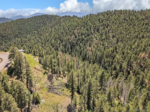 $225,000 | 13809 Elsie Road, Conifer, CO 80433