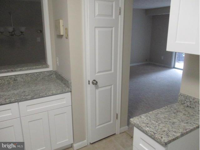 9999 Oakton Terrace Road, Unit 9999 Oakton, VA 22124 - Photo 20 of 30 Pantry