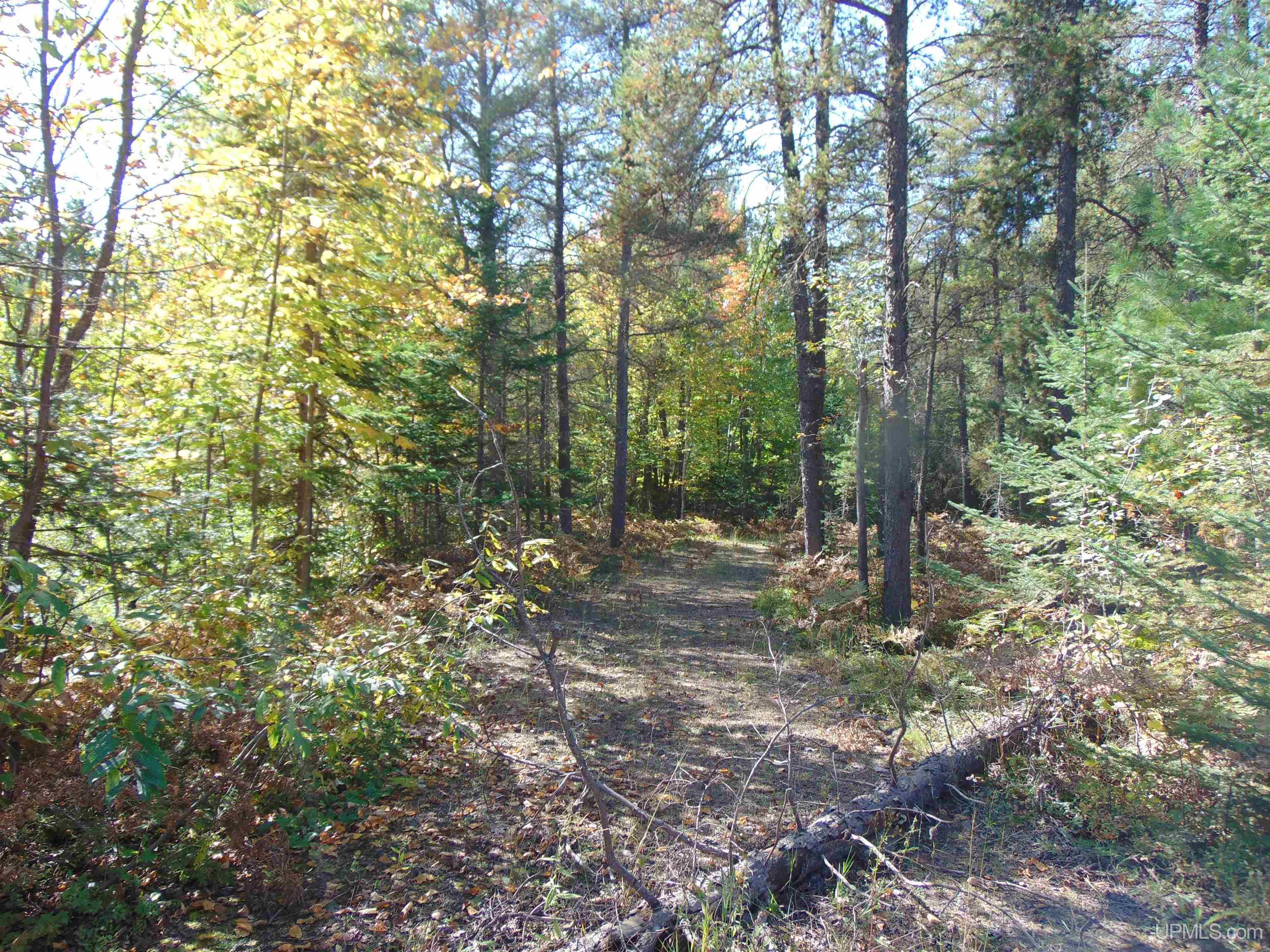 1 Rice Lake Road Hancock, MI 49930 - Photo 22 of 31