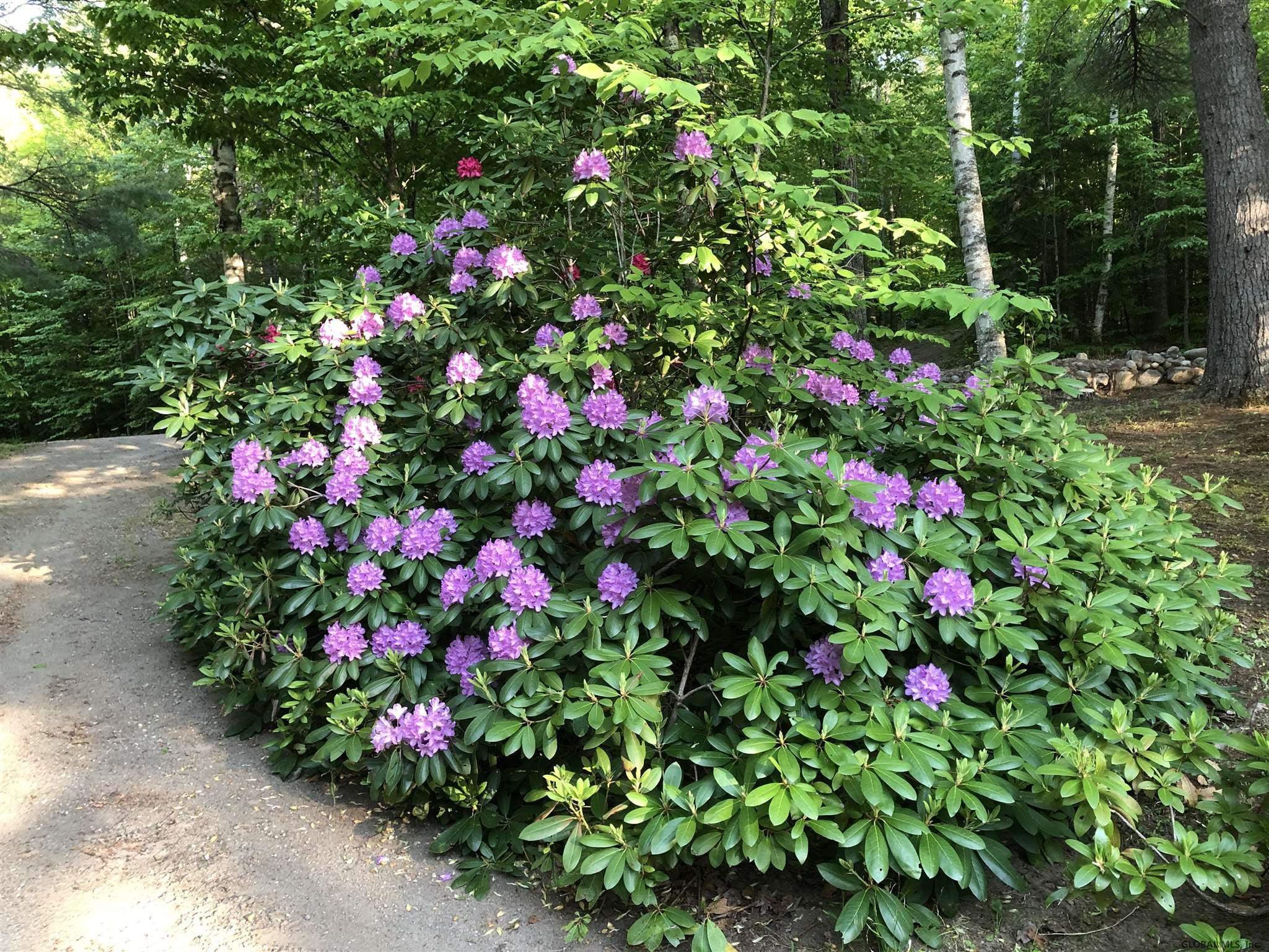 204 Blue Bay Road Chester, NY 12817 - Photo 18 of 28 Photo 18