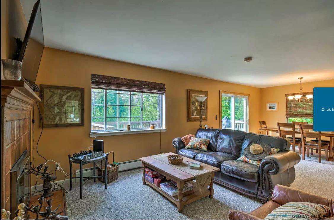204 Blue Bay Road Chester, NY 12817 - Photo 3 of 28 Photo 3