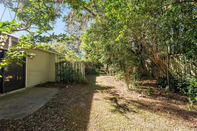 a view of a yard with plants and trees
