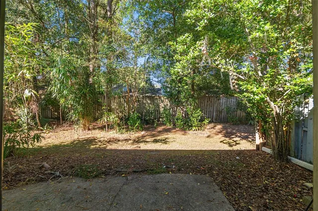 a view of a dirt road with trees in the background