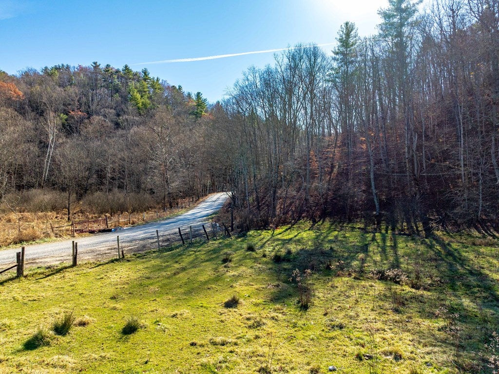 Tbd Gap Of Ridge Road Rural Retreat, VA 24368 - Photo 68 of 85 Gallery Image 68