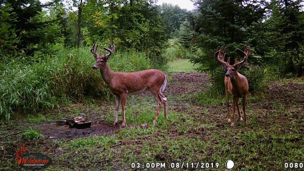 4879 County Rd A Oshkosh, WI 54901 - Photo 71 of 73 Gallery Image 71