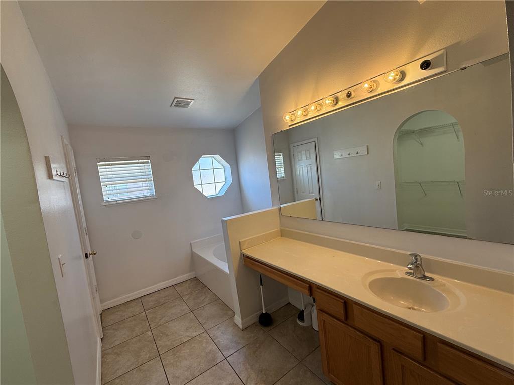 10455 Fly Fishing Street Riverview, FL 33569 - Photo 13 of 25 a bathroom with a sink and a mirror