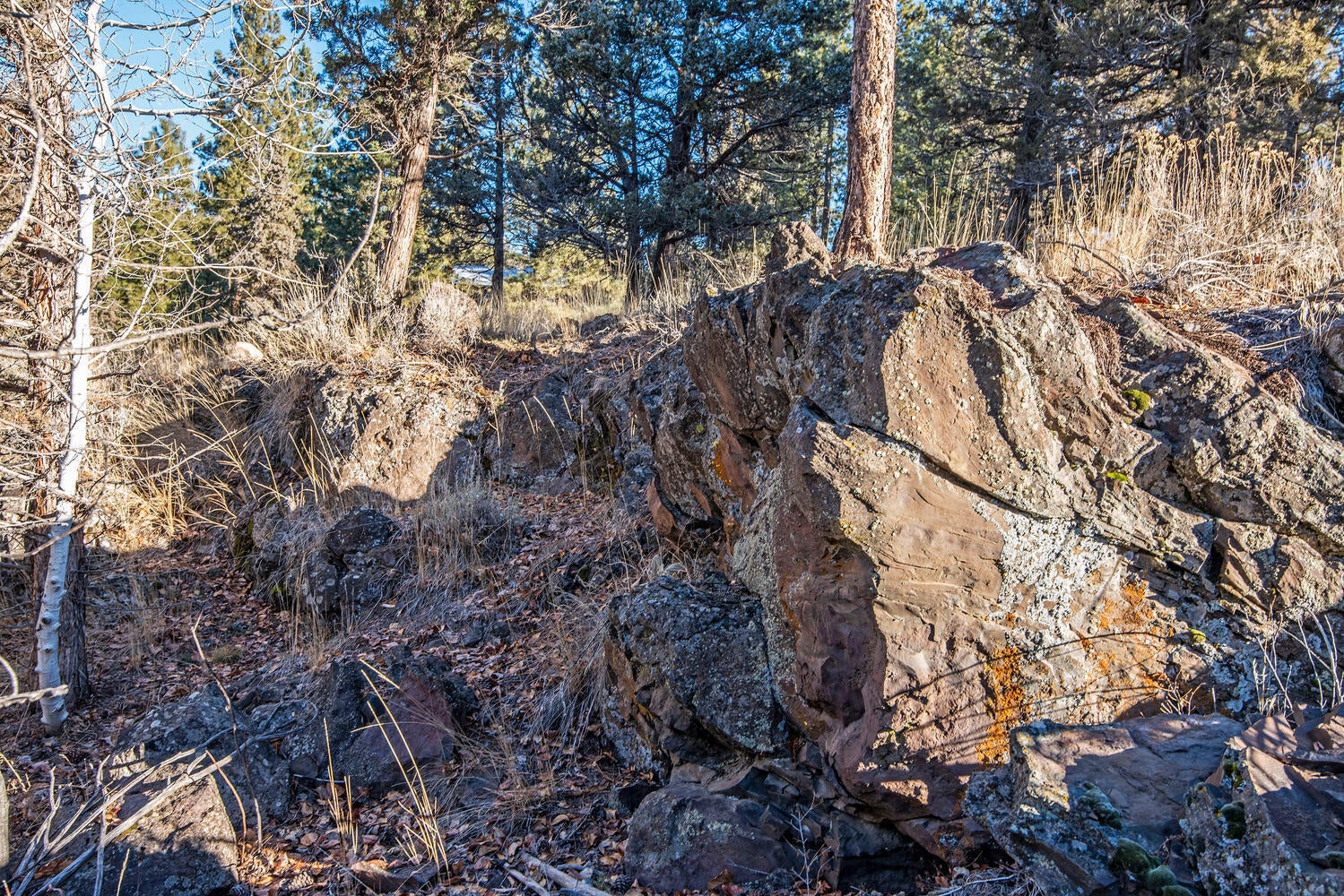 16235 Riata Court Sisters, OR 97759 - Photo 17 of 21 Level building site with rock outcroppings, ponderosa pines and aspen trees on the property.