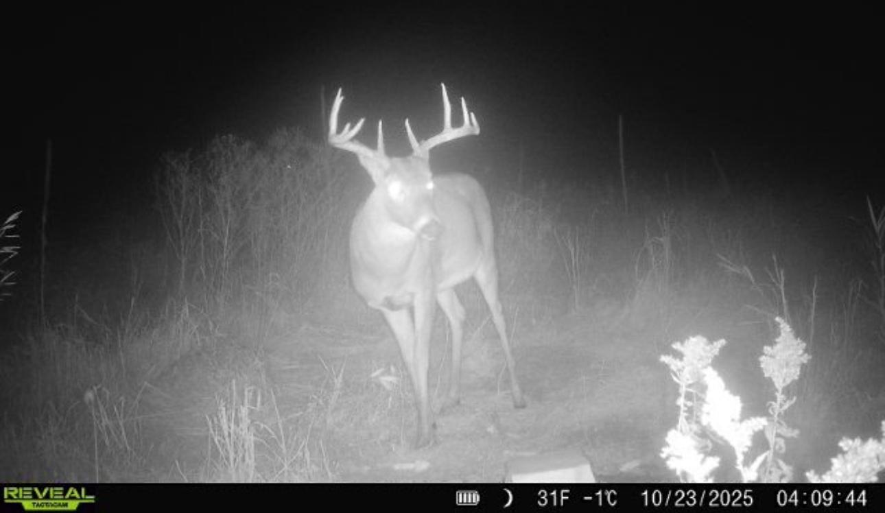 14379 Chestnut Road Princeton, MN 55371 - Photo 23 of 67